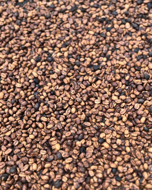 Coffea Honey