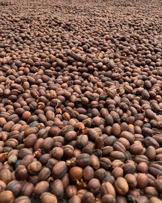 Coffea Natural